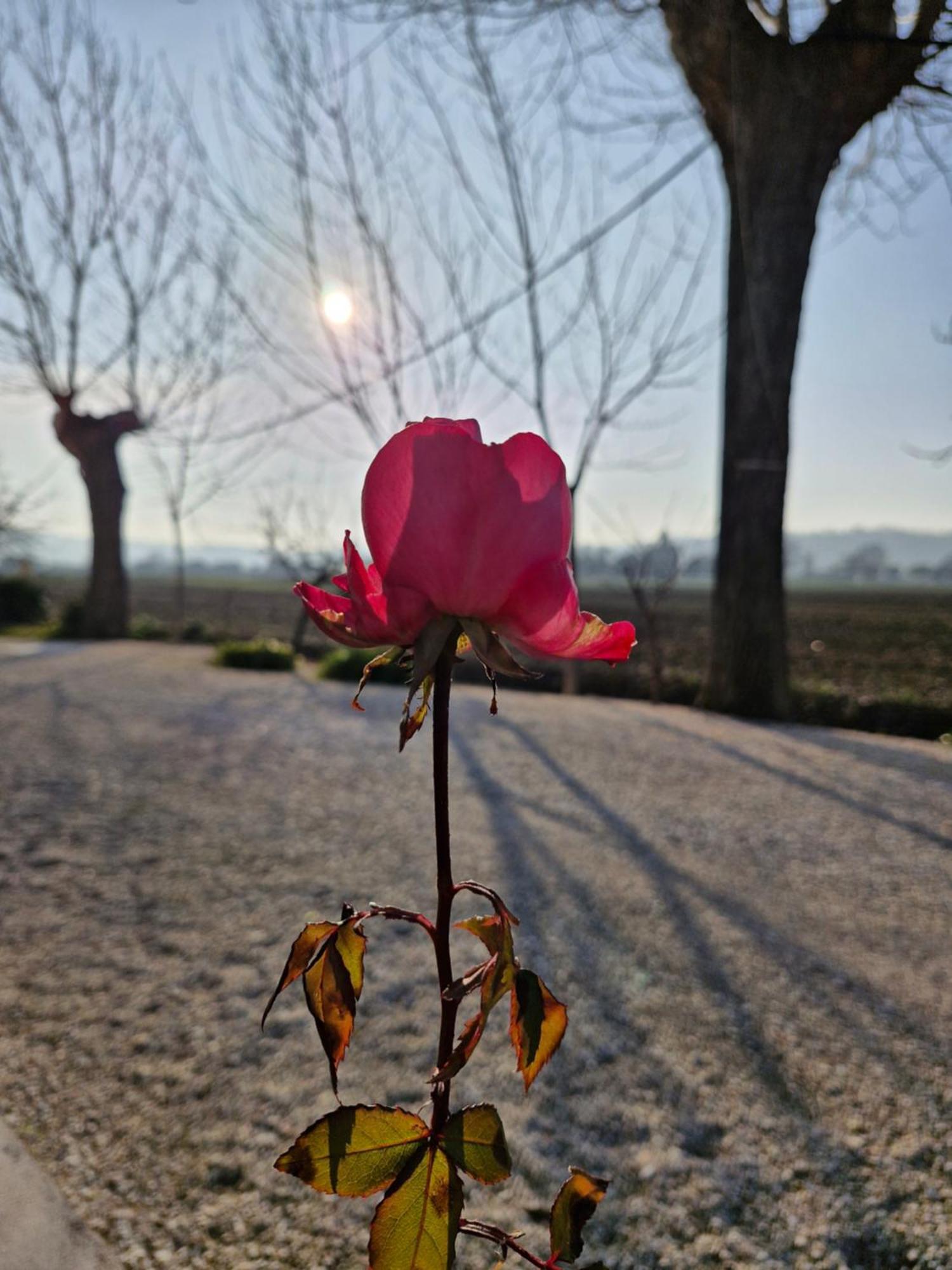 קסטלפידרדו La Dolce Vita מראה חיצוני תמונה